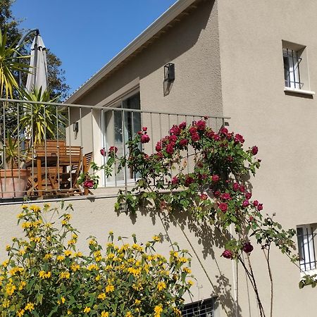 Saint-Julien-de-Peyrolas Charmante Maison Avec Jardin Aux Portes Des Gorges De L'Ardeche מראה חיצוני תמונה